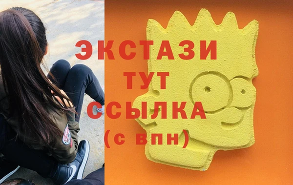 шишки Аркадак