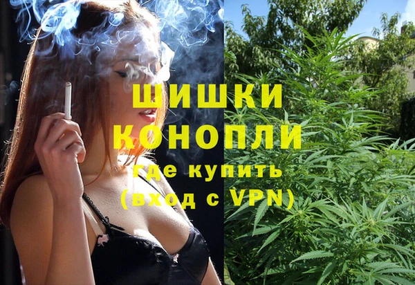 шишки Аркадак