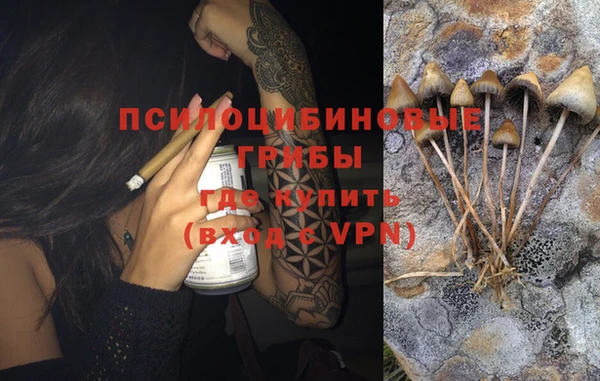 шишки Аркадак